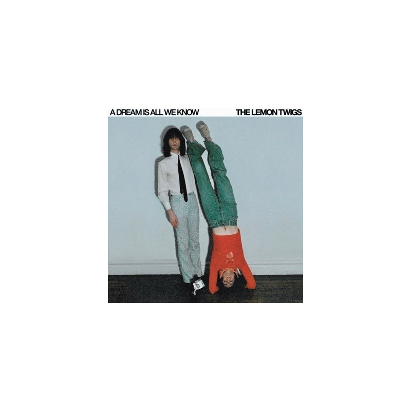A DREAM IS ALL WE KNOW (ICE CREAM VINYL)