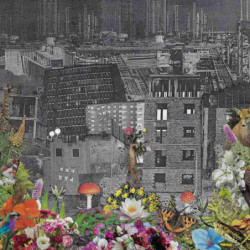 PERPETUAL EDEN