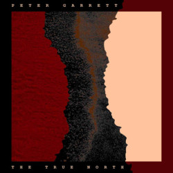 THE TRUE NORTH (CD)