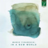 MARCO TIRABOSCHI: IN A NEW WORLD