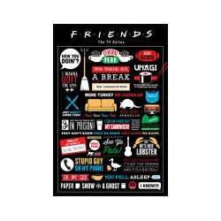 FRIENDS: PYRAMID - INFOGRAPHIC (POSTER MAXI 61X915CM)