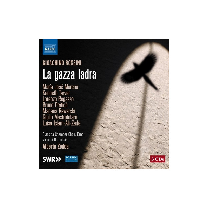 LA GAZZA LADRA