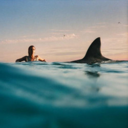 RADICAL OPTIMISM  (CURACAO...