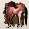 AMERICAN PRIMITIVE