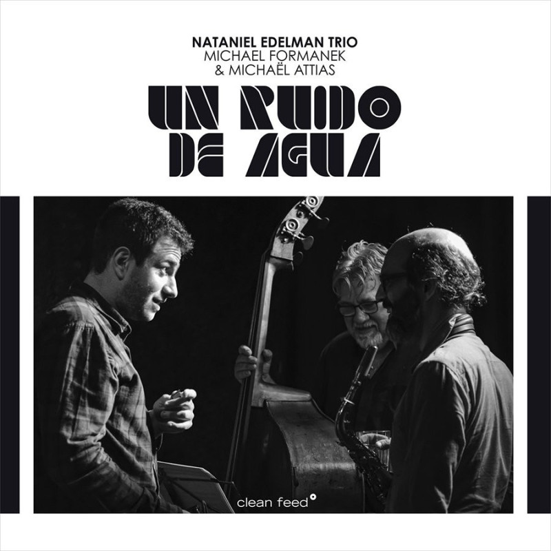 UN RUIDO DE AGUA