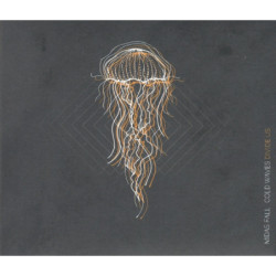 COLD WAVES DIVIDE US