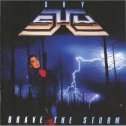 BRAVE THE STORM