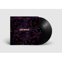 NEW TROLLS (180 GR. VINILE...