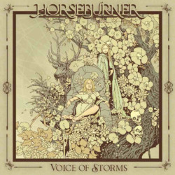VOICE OF STORMS