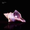 ONDA - TRANSPARENT VINYL