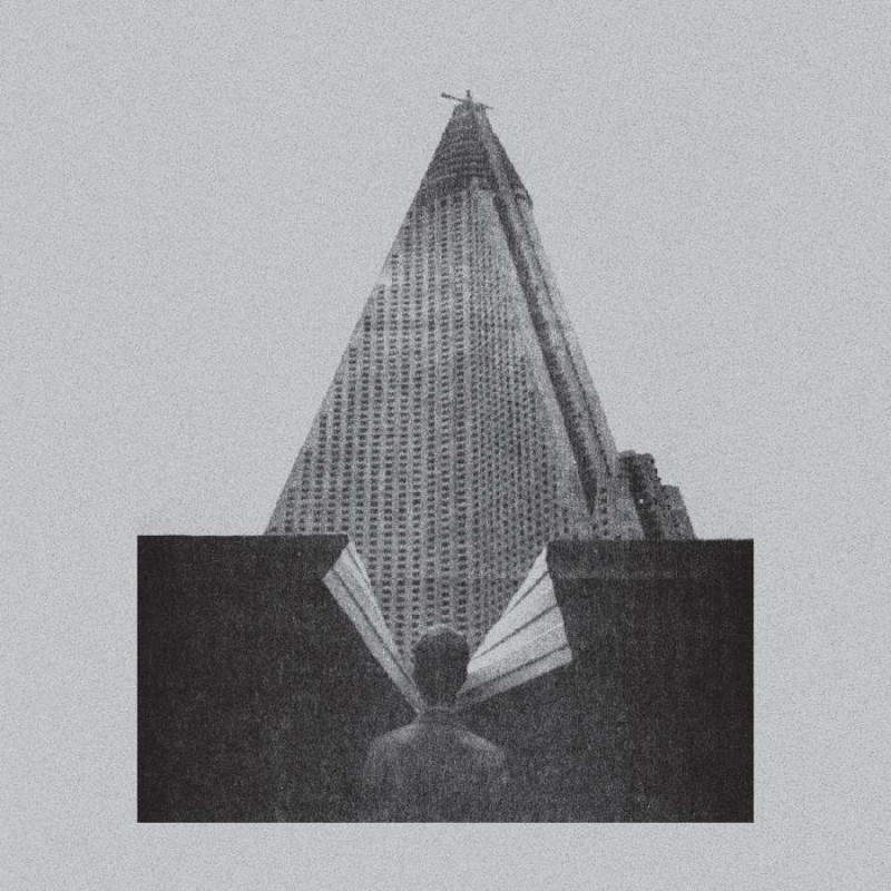 S KRYSH NASHIKH DOMOV (YELLOW VINYL)