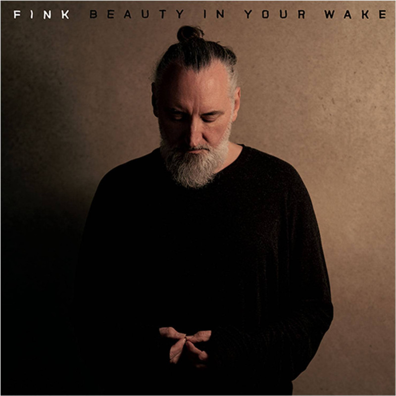 BEAUTY IN YOUR WAKE (DELUXE EDITION)