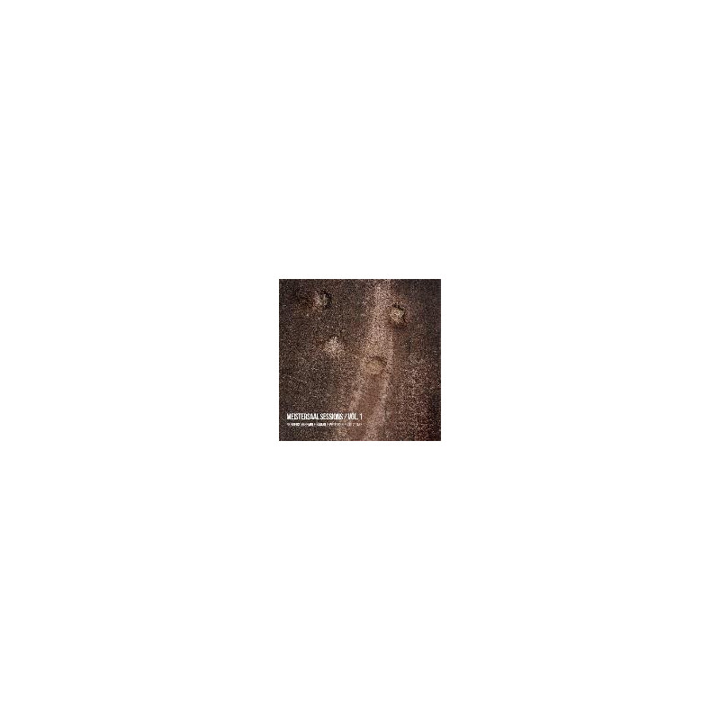 MEISTERSAAL SESSIONS / VOL. 1: