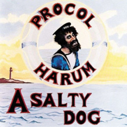 A SALTY DOG