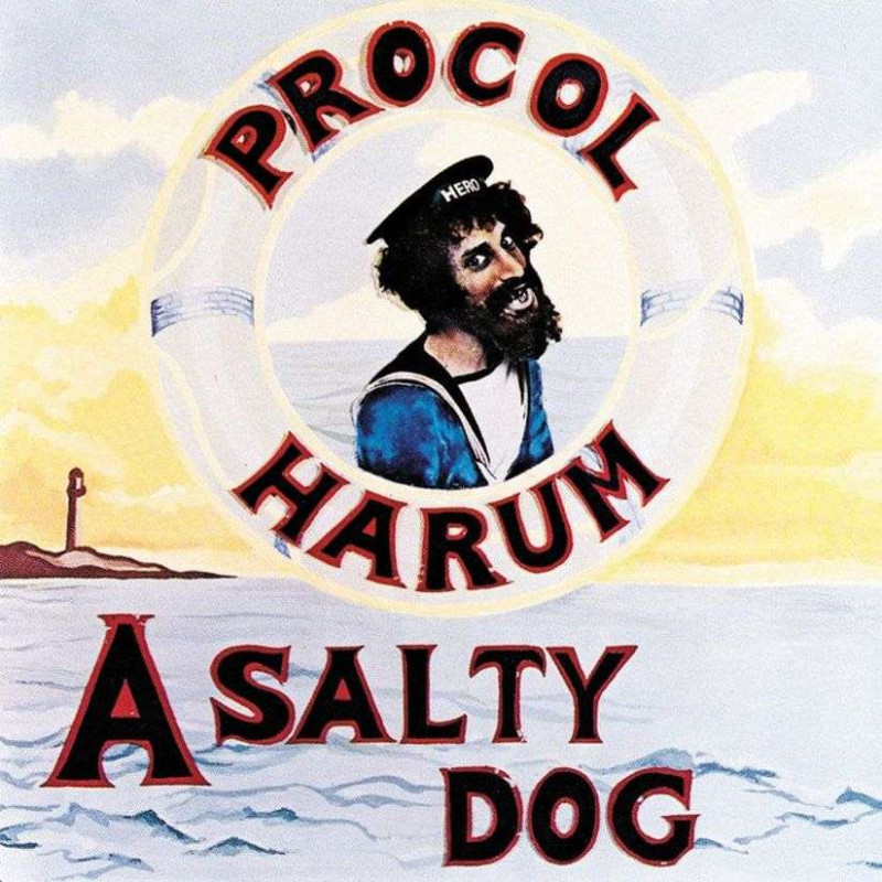A SALTY DOG