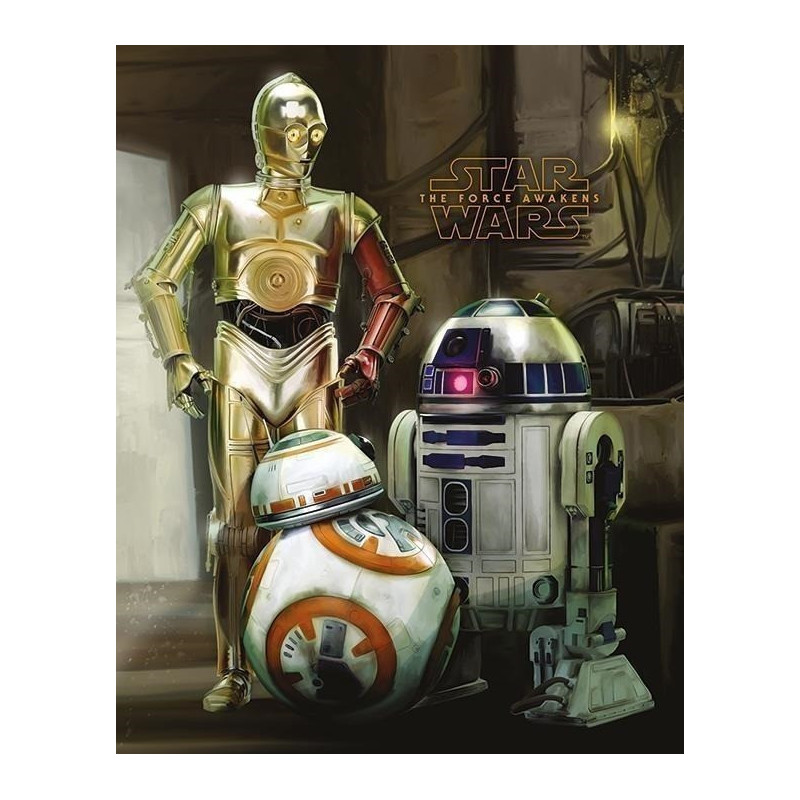 STAR WARS: PYRAMID - EPISODE VII - DROIDS (POSTER MINI 40X50 CM)