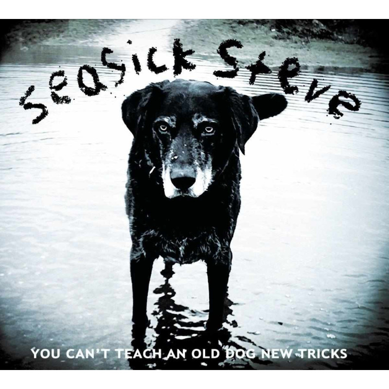 YOU CAN'T TEACH AN OLD DOG NEW TRICKS