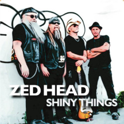 SHINY THINGS