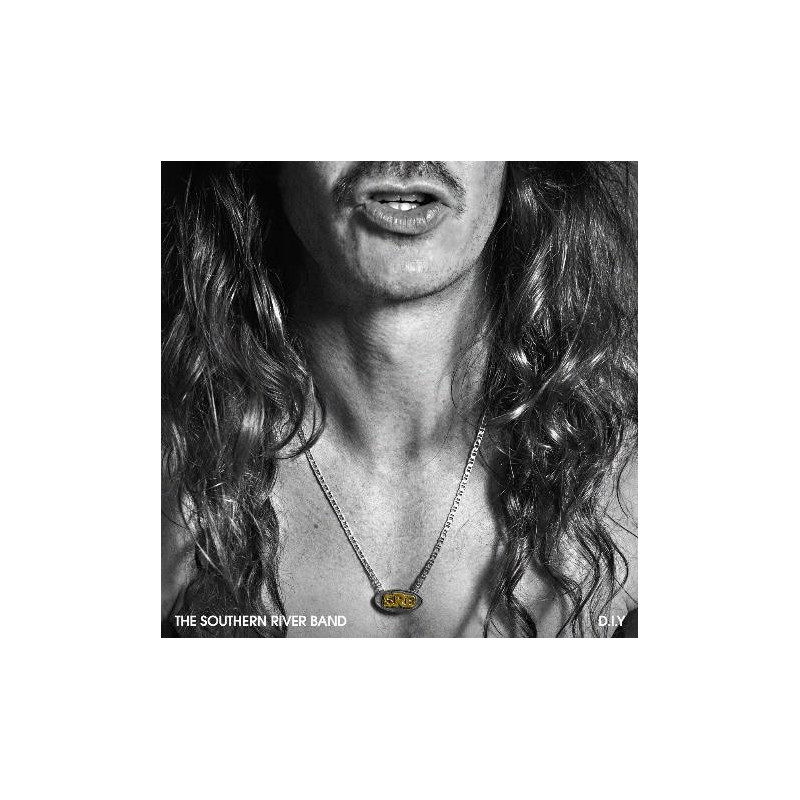 D.I.Y - GOLD VINYL