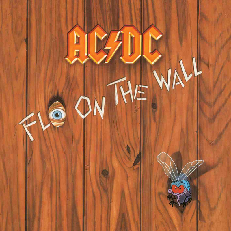 FLY ON THE WALL