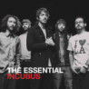 THE ESSENTIAL INCUBUS