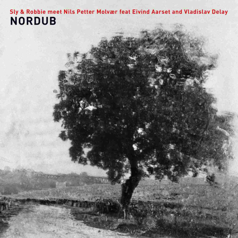 NORDUB