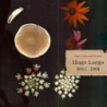 HUGE, LARGE AND ELECTRIC: HUGO LARGO 198