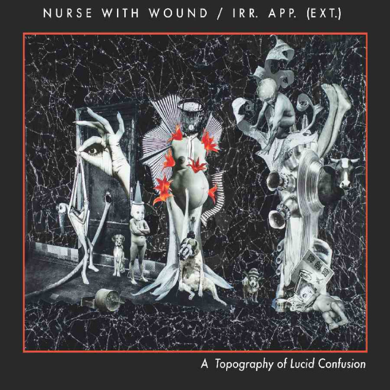 A TOPOGRAPHY OF LUCID CONFUSION
