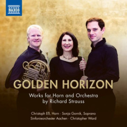 GOLDEN HORIZON WORKS FOR...