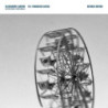REVERSE MOTION LP