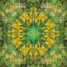 ORBORETUM: THE ORB COLLECTION