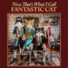 NOW THAT'S WHAT I CALL FANTASTIC CAT