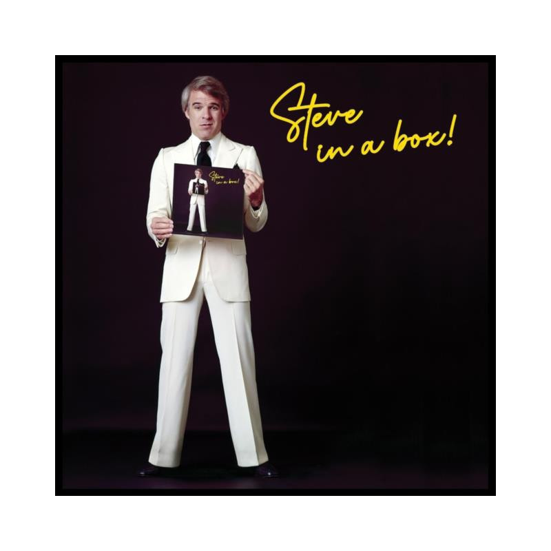 STEVE IN A BOX