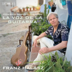LA VOZ DE LA GUITARRA