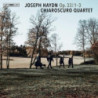 STRING QUARTETS OP. 33 N. 1-3