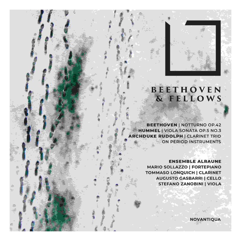 BEETHOVEN & FELLOWS