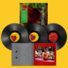 LAST SPLASH 30TH ANNIVERSARY (2LP+12)