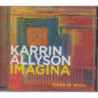 IMAGINA:SONGS OF BRASIL