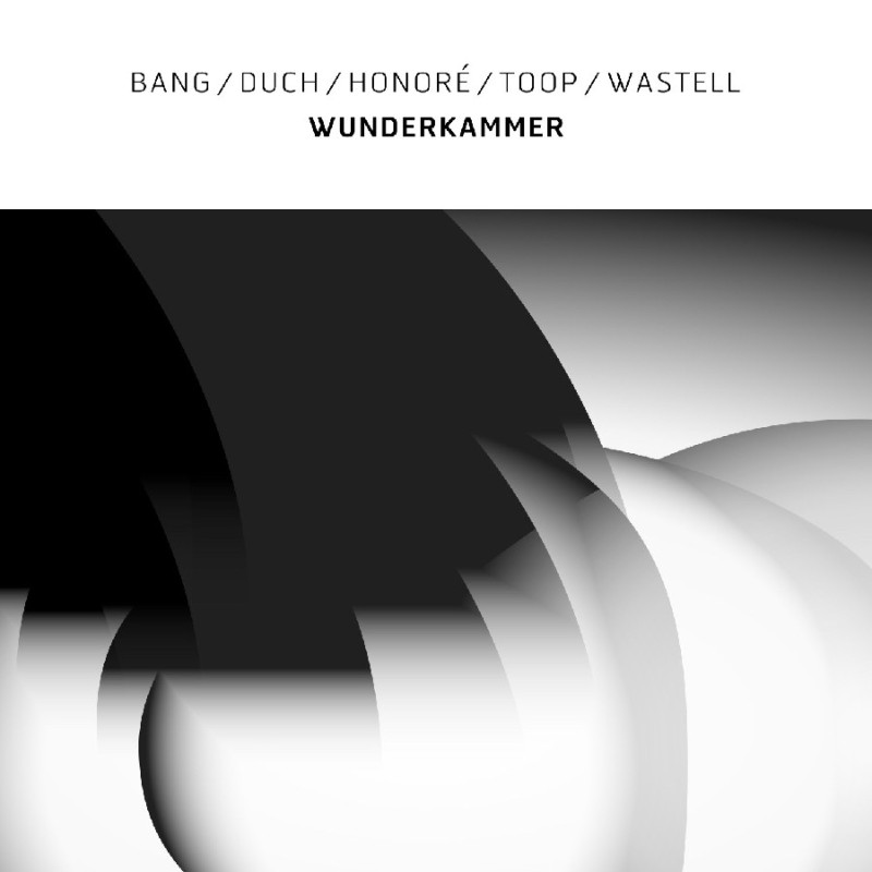 WUNDERKAMMER (WHITE VINYL)