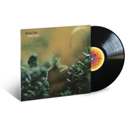 KATY LIED