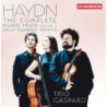 HAYDN: PIANO TRIOS VOL. 4