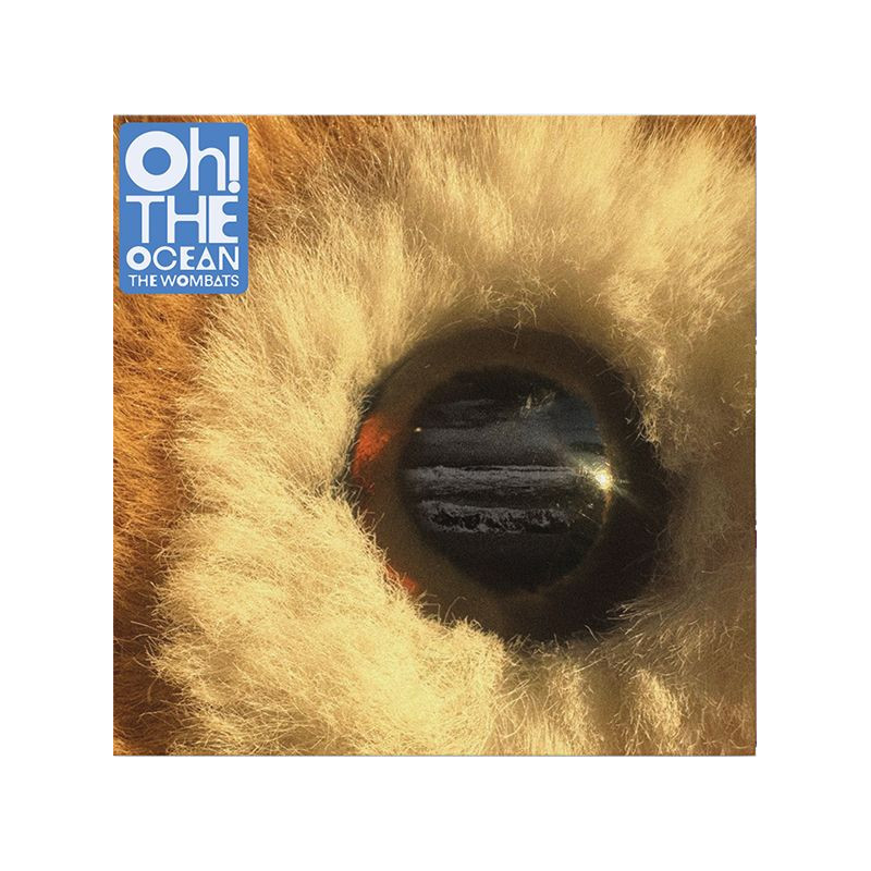 OH! THE OCEAN - CLOUDY CLEAR VINYL