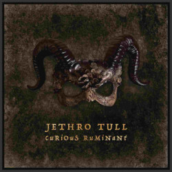 CURIOUS RUMINANT (LTD....