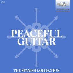 PEACEFUL GUITAR, THE...