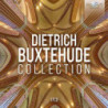 BUXTEHUDE COLLECTION