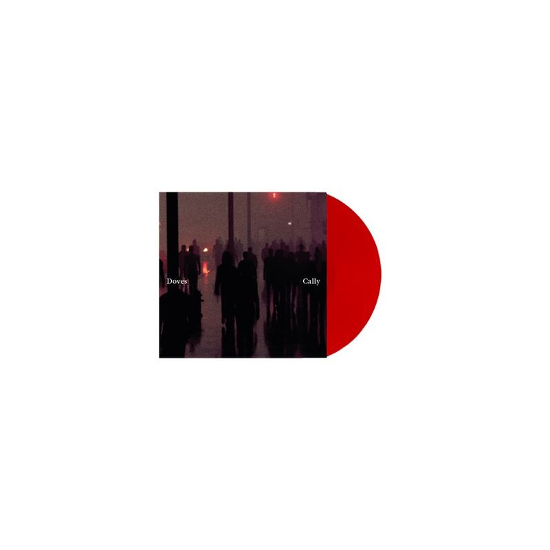 CALLY/LEAN INTO THE WIND (RSD 2025) LP