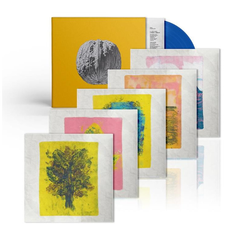 L'ALBERO DELLE NOCI (LP DELUXE COLORATO)