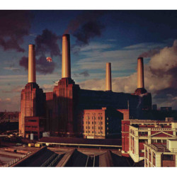 ANIMALS (CD)