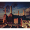 ANIMALS (CD)