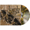 NEW AMERICAN GOSPEL - CLEAR BLACK WITH W